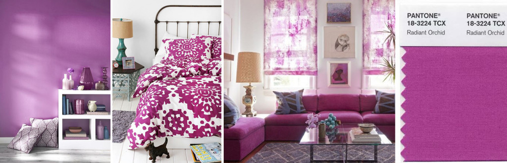 arredo-Radiant-Orchid